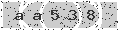 verify code