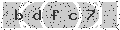 verify code