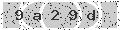 verify code